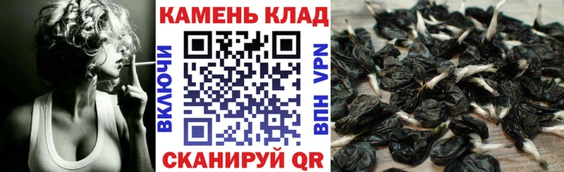 Гашиш Cannabis  Лесной 